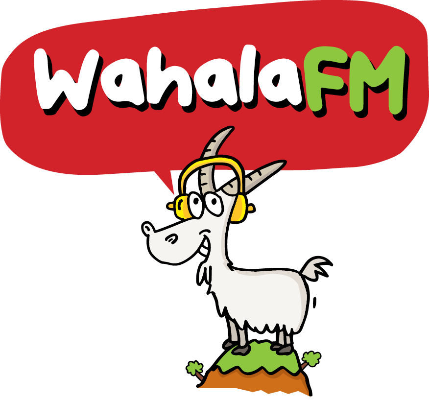 Wahala Fm
